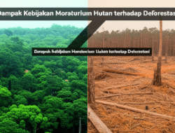 Dampak Kebijakan Moratorium Hutan terhadap Deforestasi
